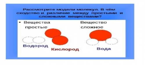 естес 6 класс 2 задание,сделаю лучшим ответом​