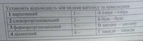 Установіть відповідність між видами наголосу та прикладами​