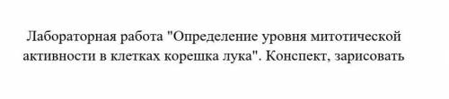 Лабораторная работа Определение уровня митотической активности в клетках корешка лука нарисовать и