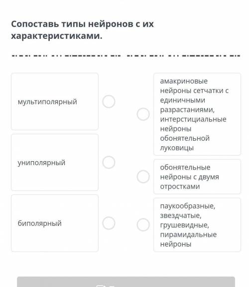 Сопоставь типы нейронов с их характеристиками ​