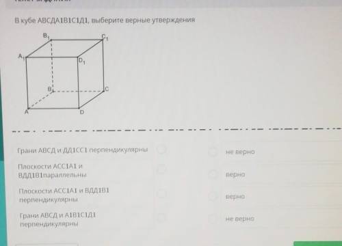 В кубе АВСДА1В1c1Д1, выберите верные утверждения​