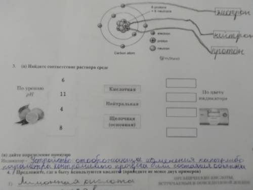 Найдите соответствие раствора среде