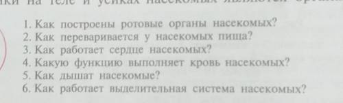 1. Як побудовані ротові органи комах? 2. Як перетравлюється у комах їжа? 3. Як працює серце комах? 4