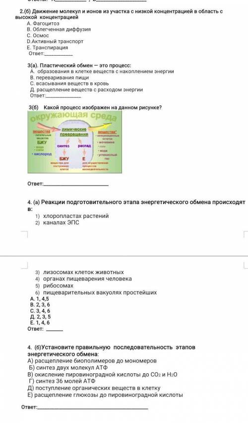 Отправьте ответы это сор по географии 10 класс​