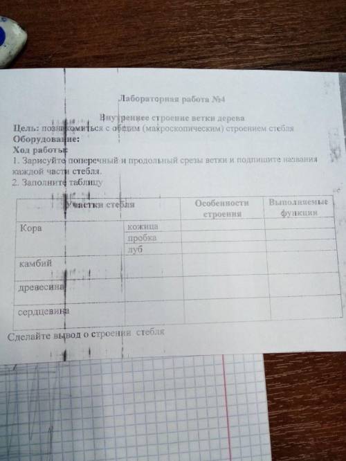 Заполните таблицу и напишите вывод. Заранее извиняюсь за плохое качество на фото.