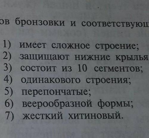 Составьте парные ответы из органов бронзовки и соответствующих им понятий​