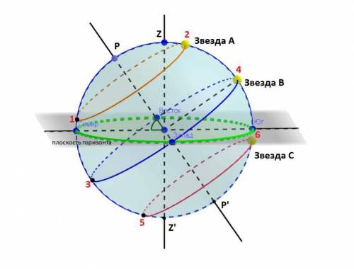по астрономии, На рисунке показано положение небесной сферы для наблюдателя, находящегося в северном