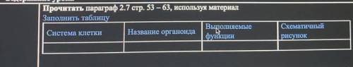 Заполнить таблицу: Система клетки Название органоида Выполняемые функции Схематичный рисунок