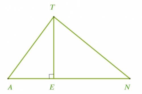 В треугольнике ТЕ углу ∡ прилежащий катет (возможно несколько правильных ответов): А Е Е Т