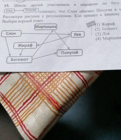 Шесть друзей участвовали в марафоне по бегу. Запись Слон Попугай означает, что Слон обогнал Попугая