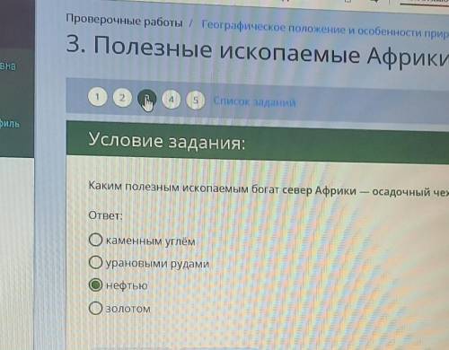 Каким полезным ископаемым богат север африки- осадочный чехол Сахарной плиты​