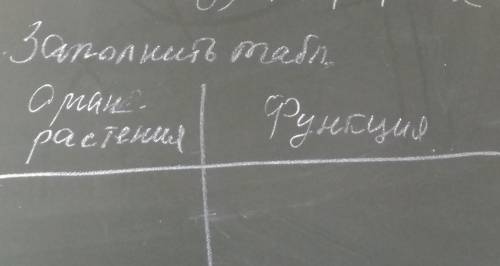 5 класс Биология———————————Заполнить таблицу:|Орган растение||Функция|​