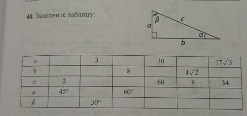 Заполните таблицу: Задние по геометрии