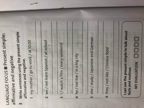 Write sentences using the present simple affirmative and negative