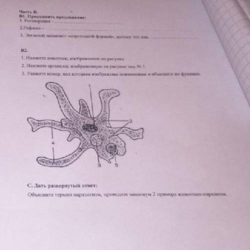 что увидите максимальное кол