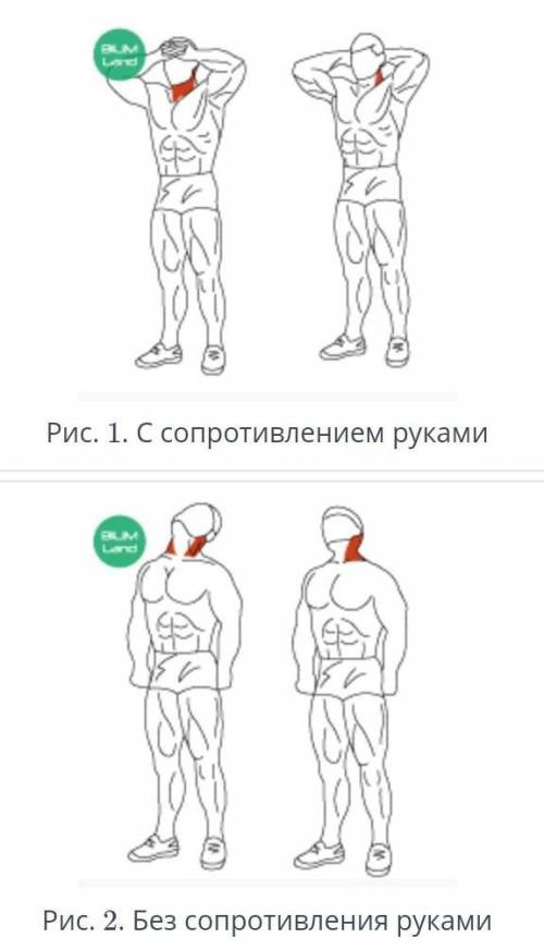 Рис. 1. С сопротивлением рукамиРис. 2. Без сопротивления руками​