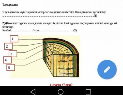 Жб биология комектесындершы​