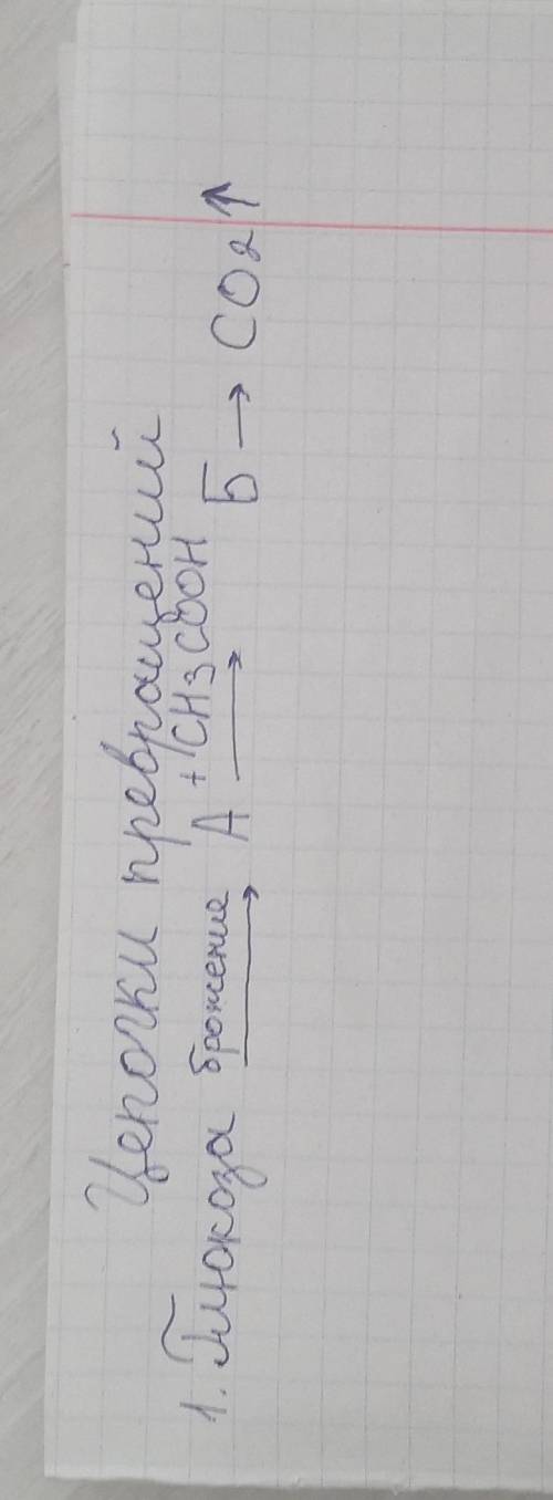 Решение принимаются только на листочке, чтобы можно было переписать в тетрадь Цепочки превращения