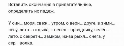 Вставить окончания в прилагательные, определить их падеж.