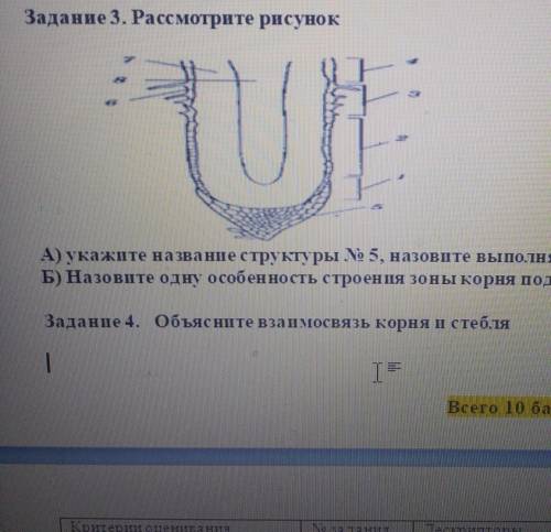 Задание 3. Рассмотрите рисунок А) укажите на звание структуры No 5, назовите выполняемую функциюБ) Н