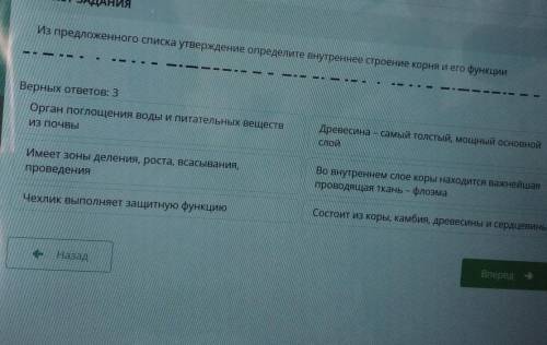 Из предложенного списка утверждение определите внутреннее строение корня и его функции —ІпІВерных от