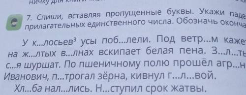 Спиши вставляя пропущенные буквы укажи падеж имён прилагательных единственного числа обозначь оконча