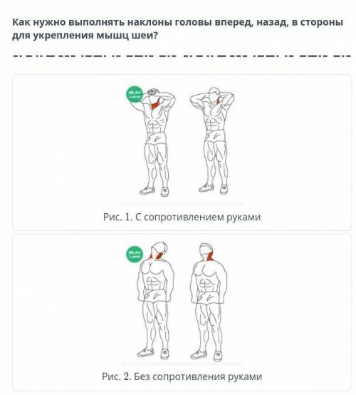 Как нужно выполнять наклоны головы вперёд,назад в стороны для укрепления мышц шеи ​