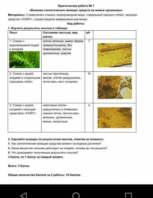 Естествознание за 6 класс ФО ​