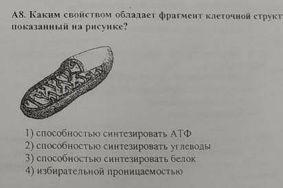 Каким свойством обладает фрагмент клеточной структуры, показанный на рисунке?​