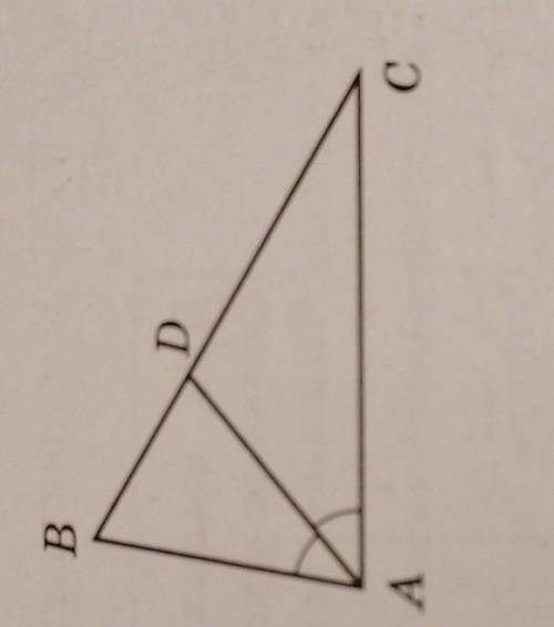 В треугольнике АВС <BAC = 48°, AD-биссектриса Найдите <BAD. ответ дайте в градусах​