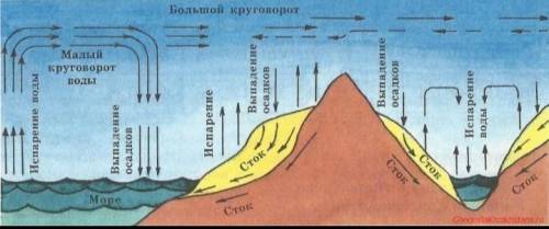 Анализ 1. Сравните большой и малый круговороты воды, сделайте выводы.2. Подчеркните, какими ценными