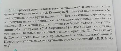 271. Спишите предложения, вставьте пропущенные буквы и расставь- те недостающие знаки препинания. На