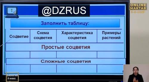 заполнить таблицу по биологии 6 класс нужно