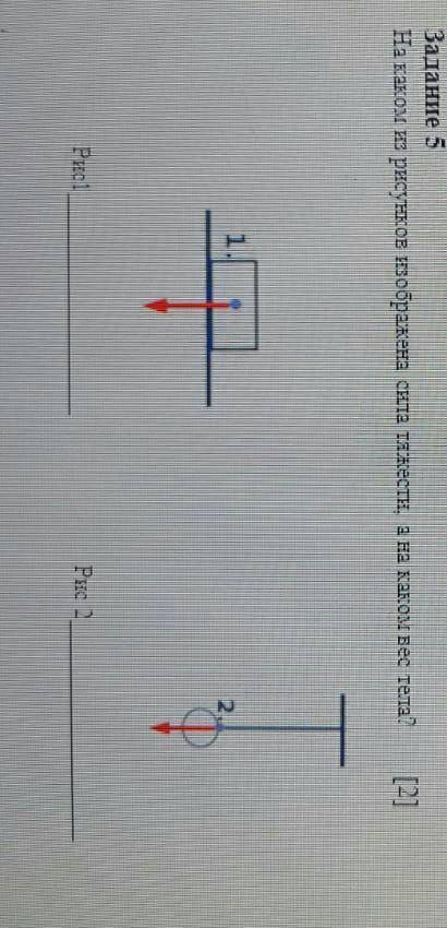 На каком из рисунков изображена сила тяжести, а на каком вес тела?​