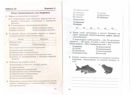 Тест по биологии 7класс Класс Земноводные или Амфибии