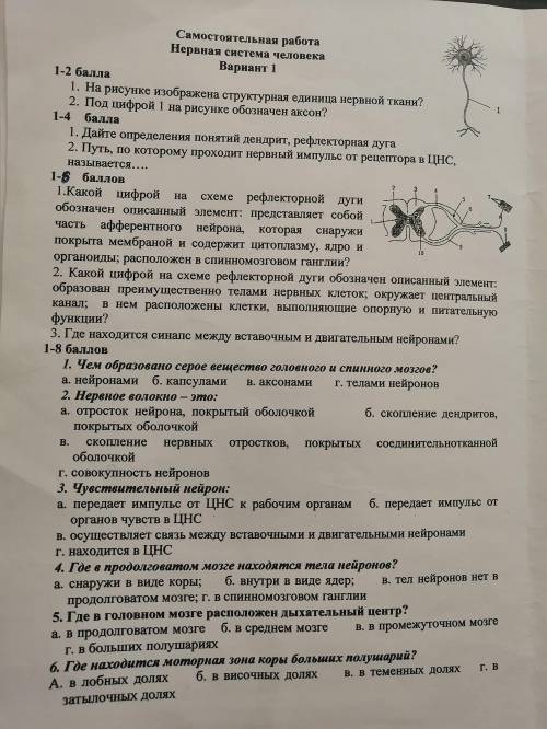 РЕБЯТА, ОЧЕНЬ НУЖНА ХОТЬ ЧТО-НИБУДЬ. Нужно до конца сегодняшнего дня