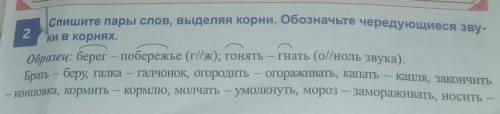 Спишите пары слов, выделяя корни. Обоначьте чередующиеся звуки в корнях ​