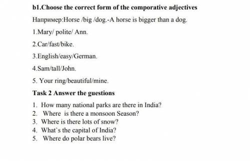 Choose the correct form of the comparative adjectives.