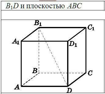 Найдите углы между B1D и плоскостью ABC​