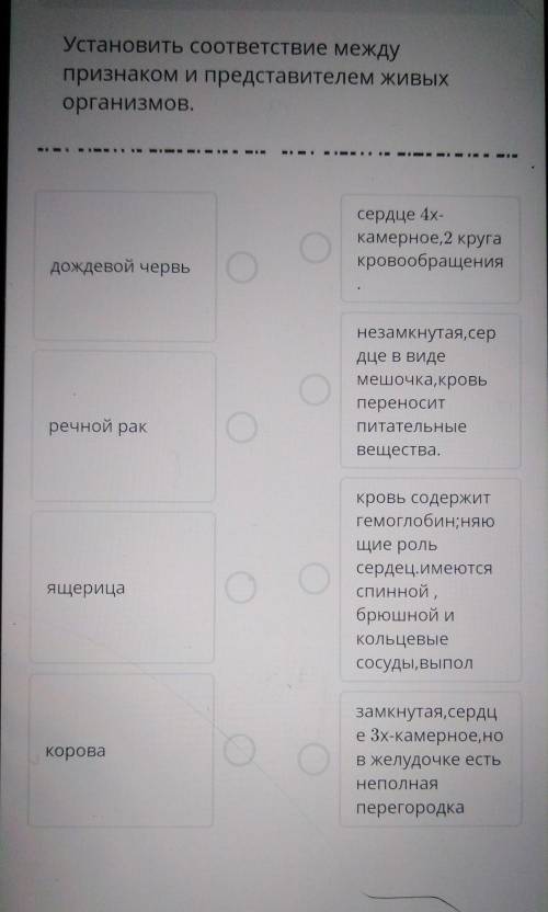 Установить соответствие между признаком и представителем живых организмов​