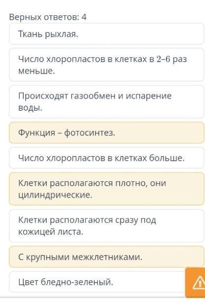 Определи особенности столбчатой ткани листа.Немогу наити только последний. ​