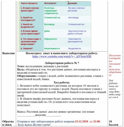 младшему брату надо здать до 22:00​