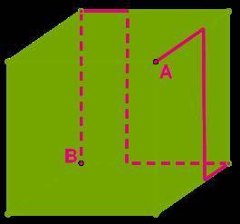 Муха ползает по поверхности куба вдоль красной линии от точки A к точке B. Определи длину проделанно