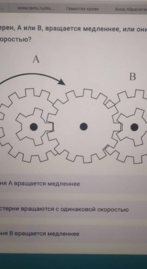 Какая из шестерён,А или B ,вращается медленнее или они вращаются с одинаковой скоростью