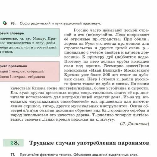 Орфографический и пунктуационный практикум