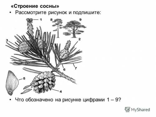 Подпишите где что находится. Всегда благодарен