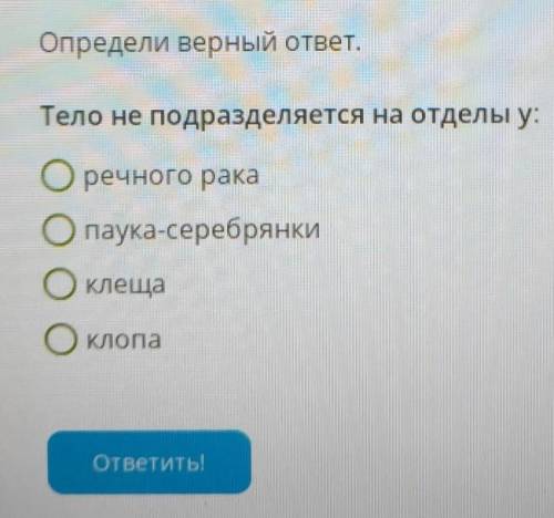 Тело не подразделяется на отделы у: