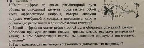 здесь 2 задания, если знаете хотя бы одно, то можете хоть его написать