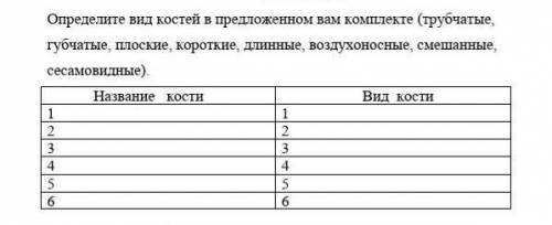 Анатомия. Определите вид костей в предложенном вам комплекте (трубчатые, губчатые, плоские, короткие