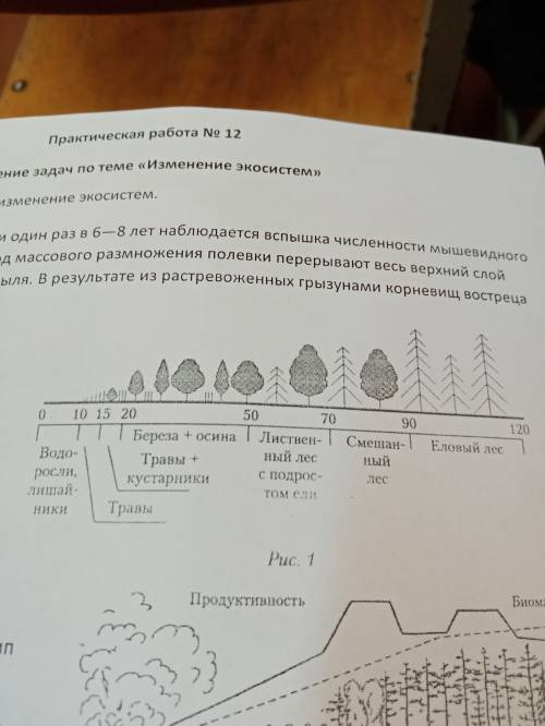 Рассмотрите рисунок 1. Что он иллюстрирует? Опишите процессы изображённые на рисунке